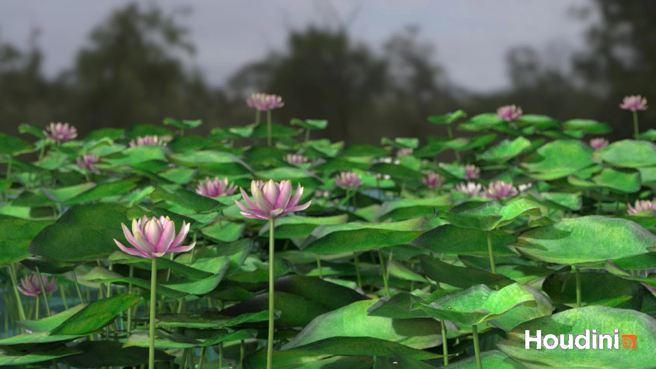 Procedural lotus pond with pink flowers